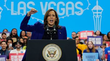 Kamala Harris har starkt stöd bland europeiska väljare inför presidentvalet 2024. Foto: John Locher/AP/TT