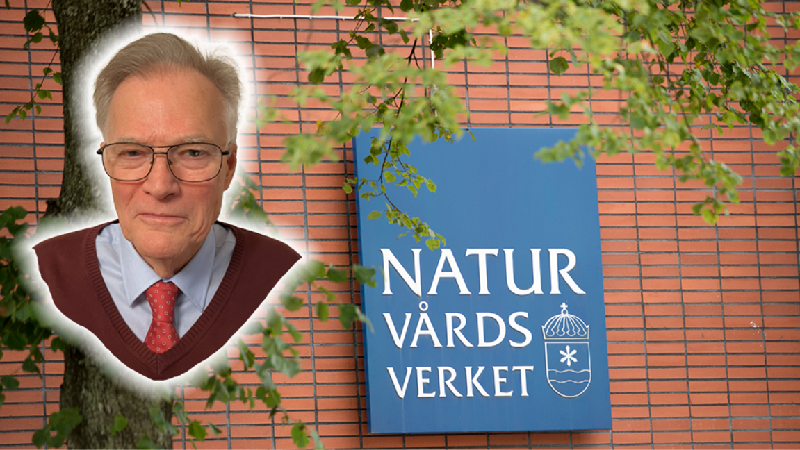 Det är svårt med matematik. Foto: Maja Suslin/TT