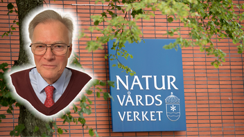 Det är svårt med matematik. Foto: Maja Suslin/TT