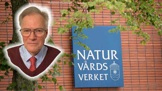 Det är svårt med matematik. Foto: Maja Suslin/TT