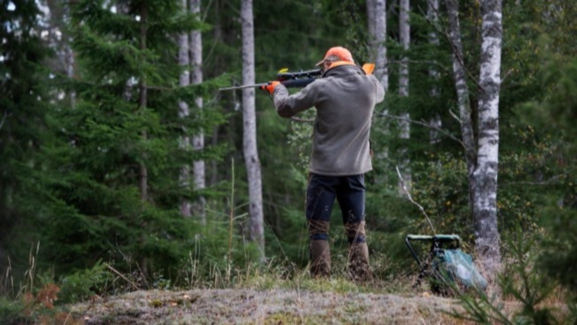 Genrebild. Foto: Jessica Gow / TT.