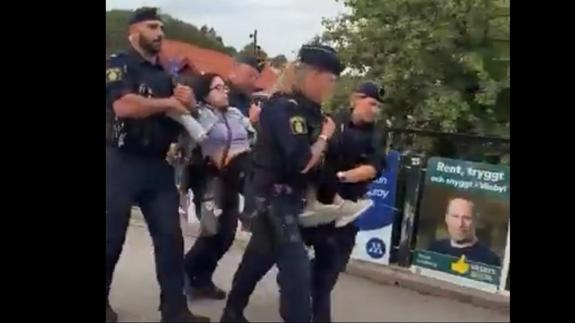Kvinnan fördes bort av polis. Kanske trodde hon att hon hade räddat demokratin. Foto: Skärmdump