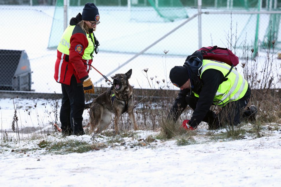 SAR (Search and rescue) bistår polisen med att söka efter en försvunnen 25-årig kvinna i Salem, Rönninge i södra Stockholm.  Nils Petter Nilsson/TT