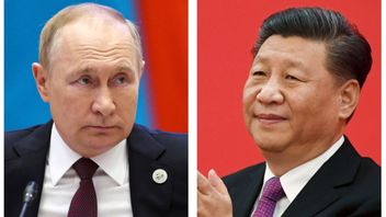 Rysslands president Vladimir Putin och Kinas president Xi Jinping. Foto:Sergei Bobylev; Noel Celis/AP/TT