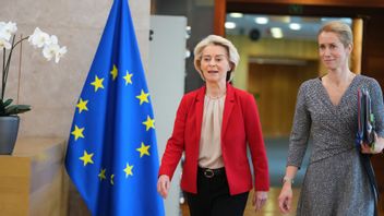 Ursula von der Leyen. Foto: Mayo/AP/TT