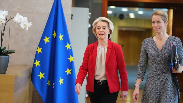 Ursula von der Leyen. Foto: Mayo/AP/TT