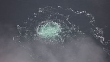 Bild: Svenska kustbevakningen