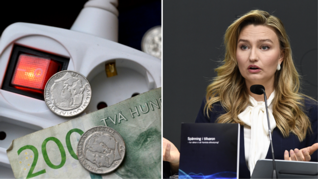 Energiminister Ebba Busch (KD) och SVK kritiseras från flera håll och kanter efter beslutet att behålla elprisområdena som de är idag. Foto: Janerik Henriksson/Lars Schröder/TT