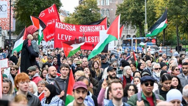 Propalestinsk demonstration i Stockholm. Foto: Henrik Montgomery/TT.