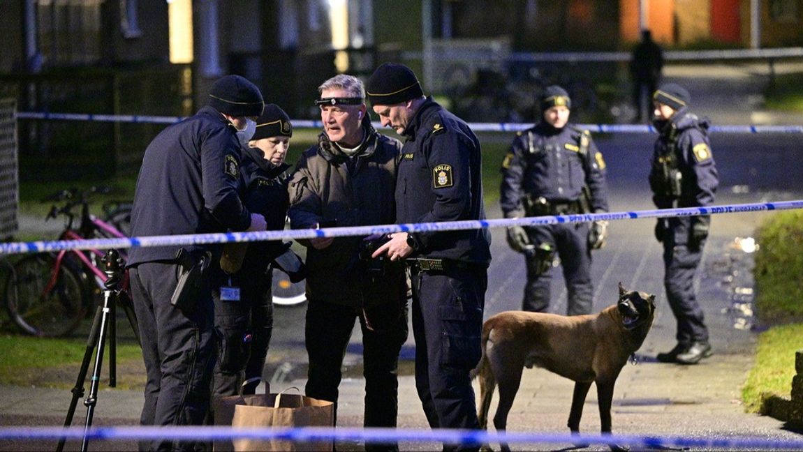 Polis och kriminaltekniker på plats efter en skottlossning mot en lägenhet i Malmö tidigt på torsdagsmorgonen. Foto: JOHAN NILSSON/TT