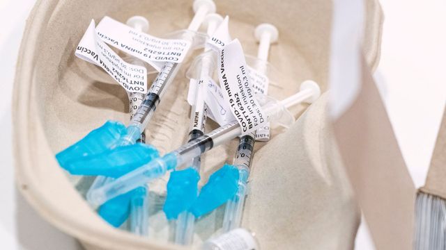 Danmark ska enligt utrikeshandelsministern inte ha fattat något beslut om att stoppa sprutor på väg till Sverige. Arkivbild. Foto: Johan Nilsson/TT.