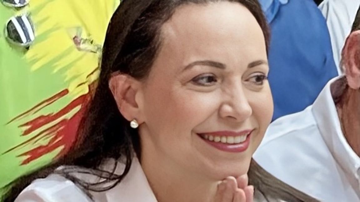 Attribution: SantanaZ, CC0, via Wikimedia Commons