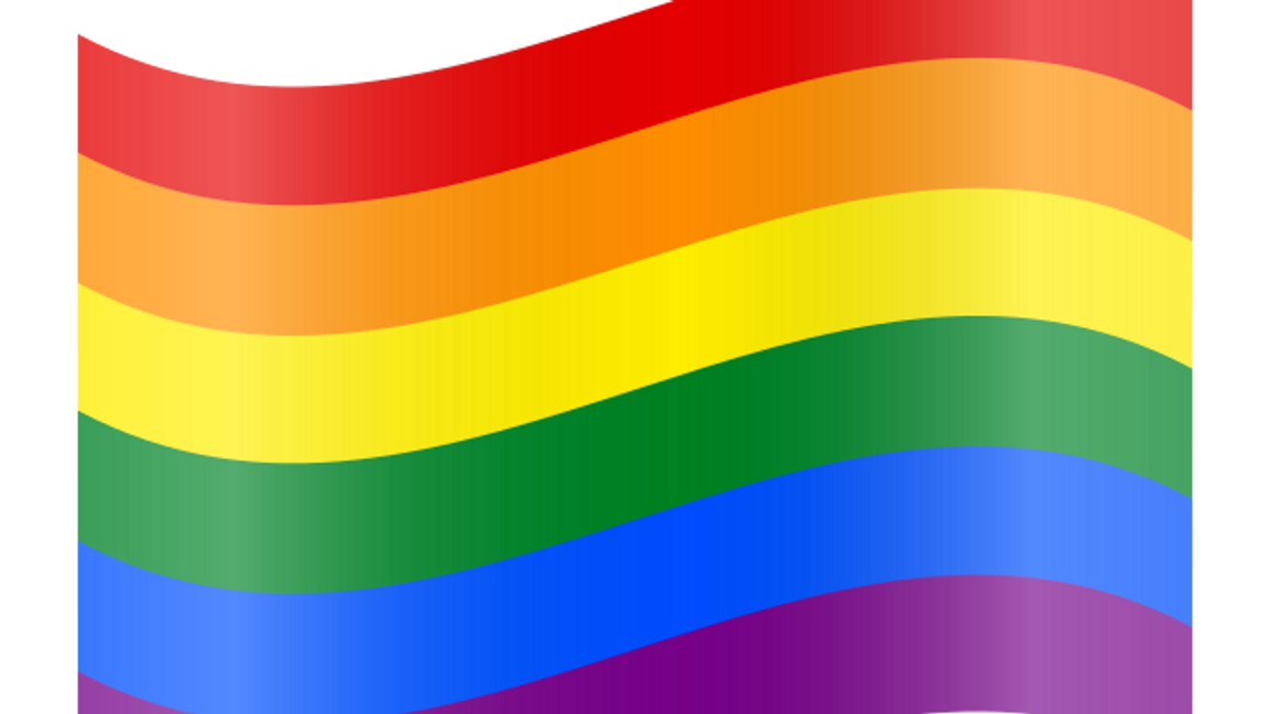 Prideflaggan. Foto: Wikipedia 