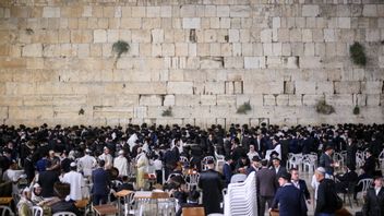 Levande judar. Foto: Henrik Montgomery/TT