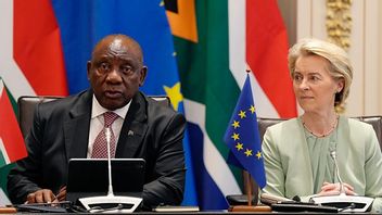 Bild: AP Photo/Nardus Engelbrecht