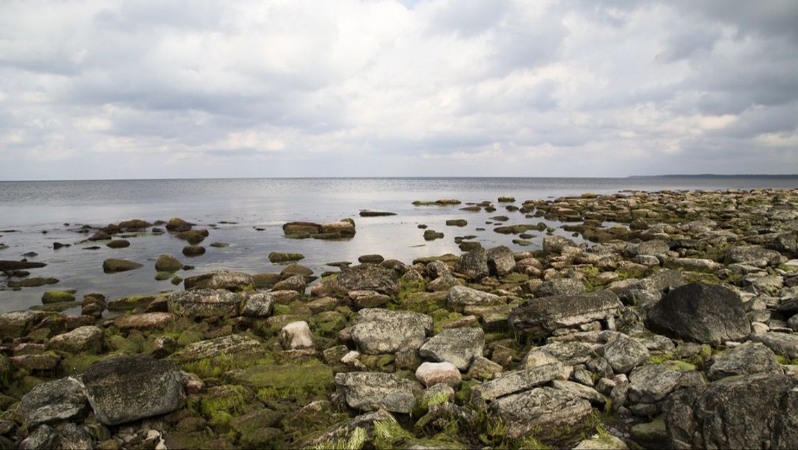 Ett skeppsvrak med bland annat champagneflaskor har hittats utanför Ölands kust. Arkivbild. Foto: MARTINA HOLMBERG/TT