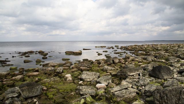 Ett skeppsvrak med bland annat champagneflaskor har hittats utanför Ölands kust. Arkivbild. Foto: MARTINA HOLMBERG/TT