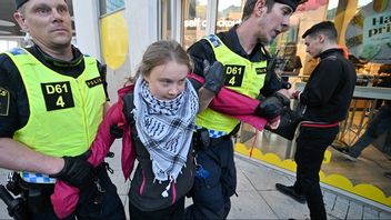 Plötsligt händer det att generation Greta bryr sig mindre om att rädda klimatet. Foto: Johan Nilsson/TT