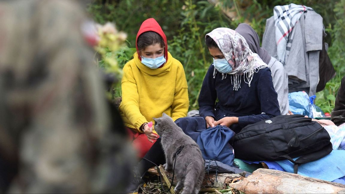 Migranter väntar i ett område vid Polens gräns till Belarus. Foto: Michal Kosc/AP/TT