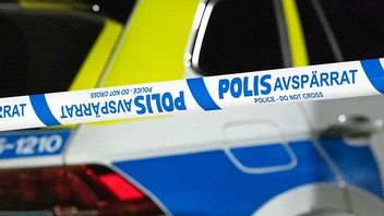 Arkivbild: Foto: Johan Nilsson/TT