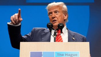 USA:s president Donald Trump. Foto: AP