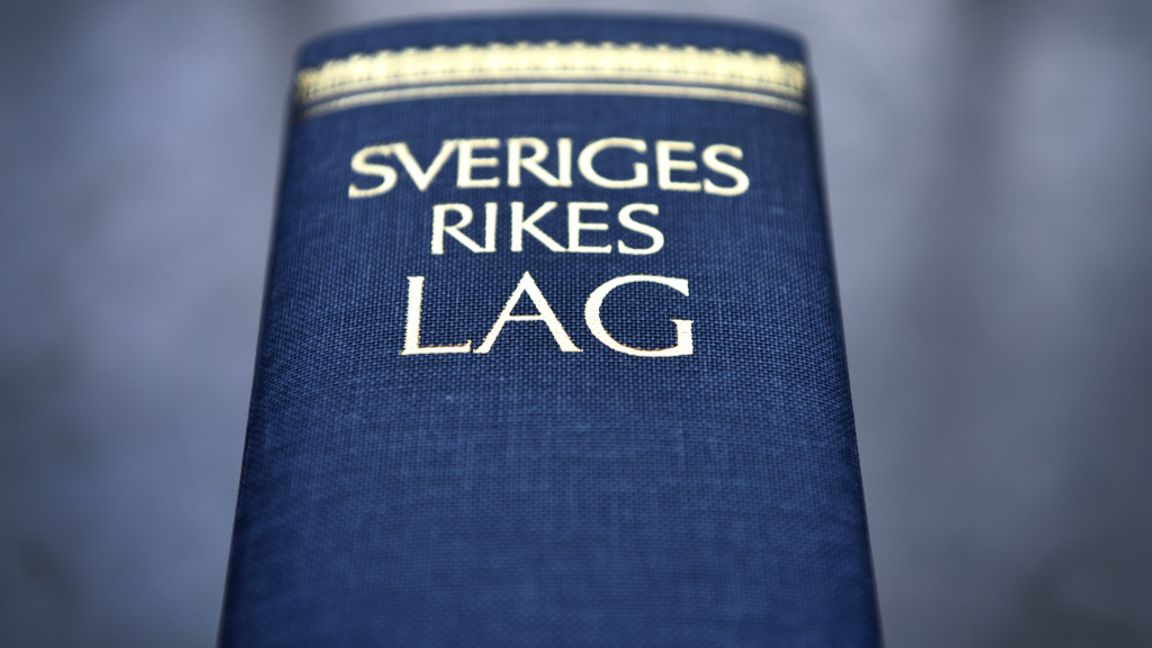 En tonårspojke har dömts för våldtäkt mot barn. Arkivbild. Anders Wiklund/TT