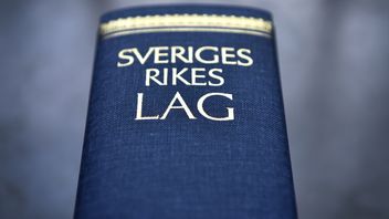 En tonårspojke har dömts för våldtäkt mot barn. Arkivbild. Anders Wiklund/TT