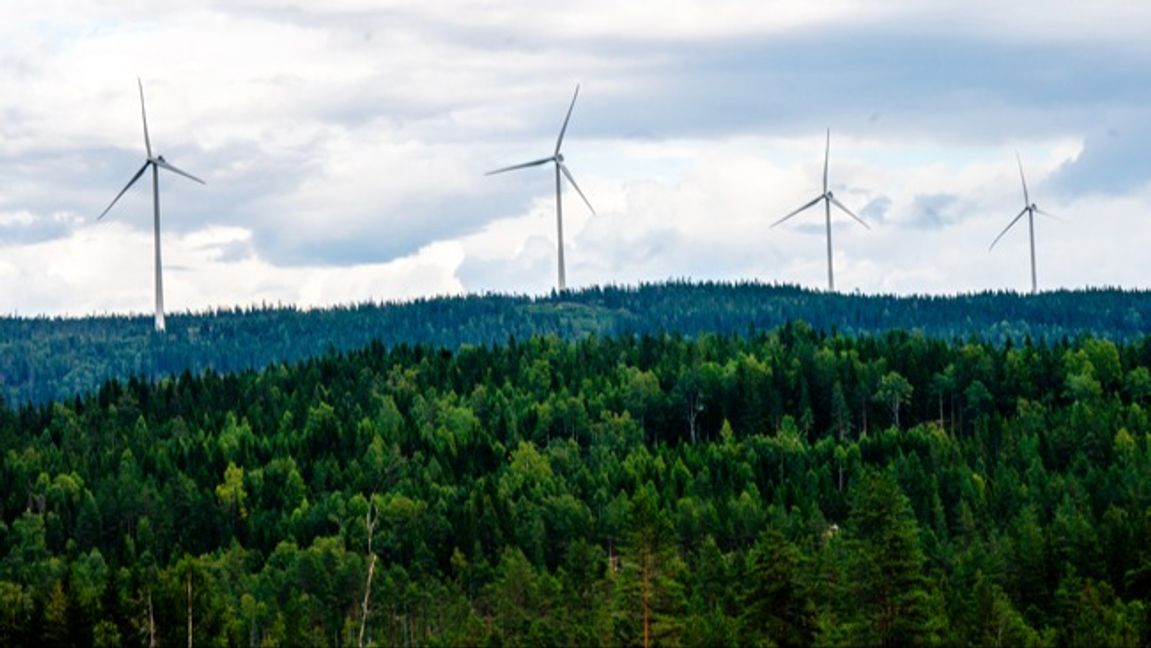 Vindkraftverk. Vattenfall stängde sina vindparker när elpriserna blev för låga. Foto: Annika Byrde/NTB/TT.