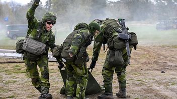 Försvarsövningen Aurora 23. Bild: Anders Wiklund / TT