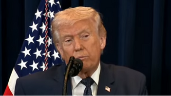 Fakismil / White house