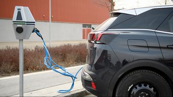 Foto: Henrik Montgomery/TT