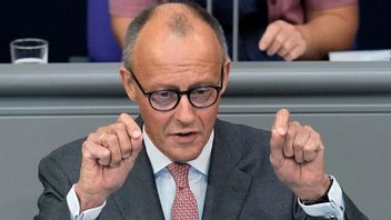 Friedrich Merz vill återstarta nedstängda reaktorer och öppnar för ny kärnkraft. Foto: Markus Schreiber/AP/TT