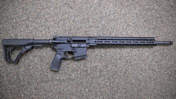 Tidöpartierna borde backa om AR. Foto: Mikael Fritzon/TT