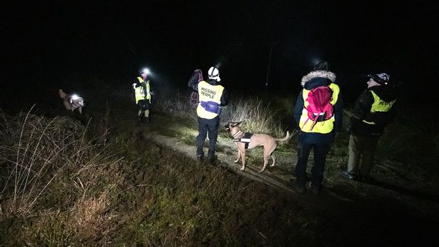 2020 gjorde Missing People fler sökinsatser än något tidigare år.
FOTO: Johan Nilsson/TT