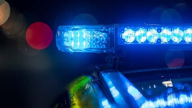 Arkivbild: Foto: Johan Nilsson/TT