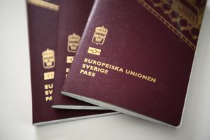 ”Att tillverka och sälja sådana handlingar är mycket lukrativt för den grova organiserade brottsligheten”, berättar Maja Hagberg Andersson, utredare vid gränspolisenheten i Stockholm i polisens pressmeddelande. Foto: Henrik Montgomery/TT