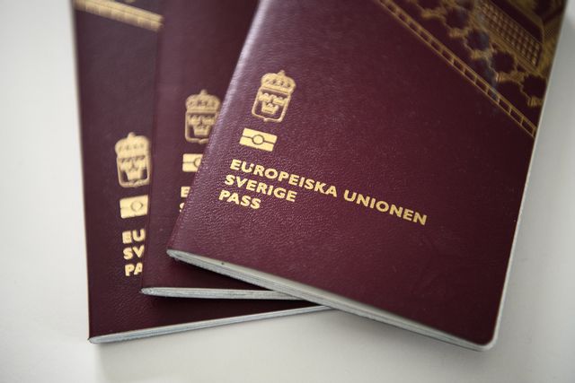 ”Att tillverka och sälja sådana handlingar är mycket lukrativt för den grova organiserade brottsligheten”, berättar Maja Hagberg Andersson, utredare vid gränspolisenheten i Stockholm i polisens pressmeddelande. Foto: Henrik Montgomery/TT