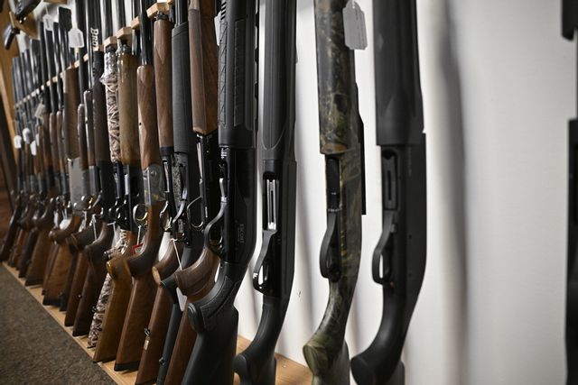 Regeringen och SD ska se över vapenreglerna. Arkkivbild Mikael Fritzon/TT