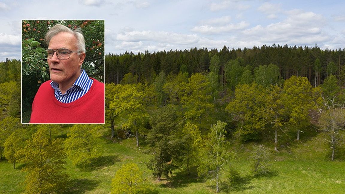 Dagens debattör Tomas Åbyhammar är civilingenjör och har genomför ett granskning av svensk klimatstatistik. Foto: Privat / Fredrik Sandberg/TT