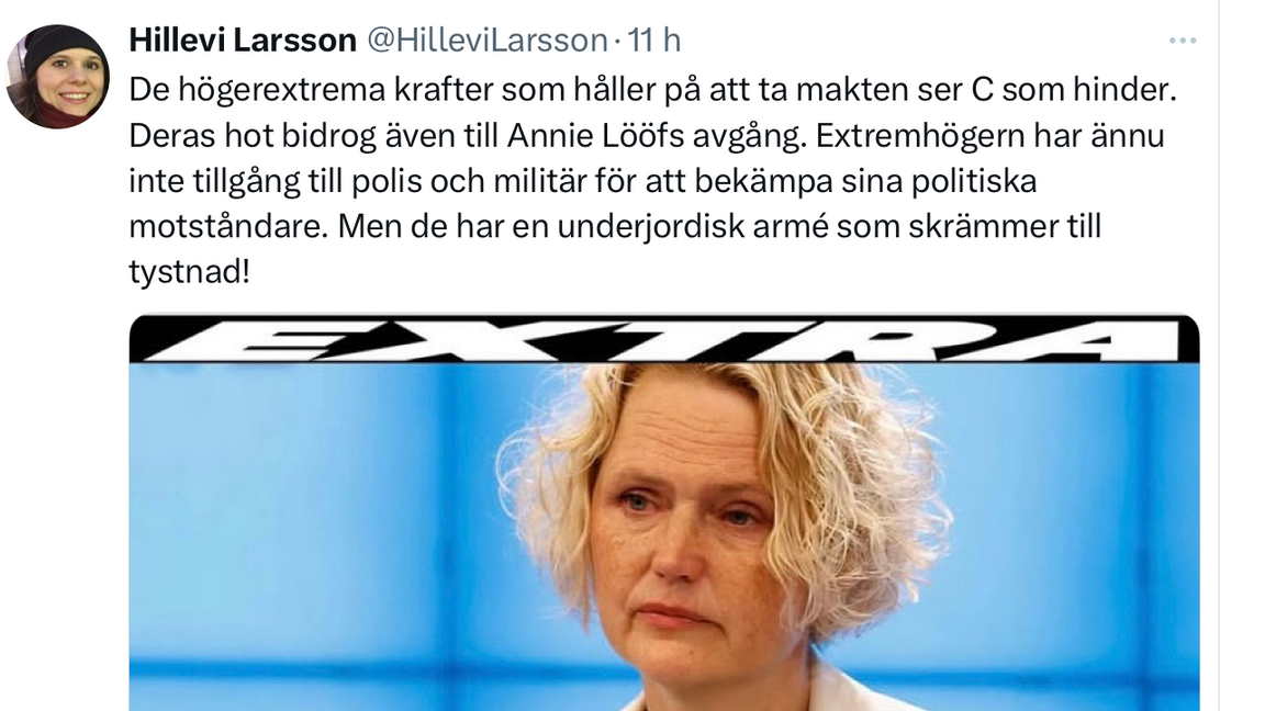 Den tidigare socialdemokratiska riksdagsledamoten Hillevi Larsson visar att hon inte förstår problemet. Foto: Skärmdump X/Twitter