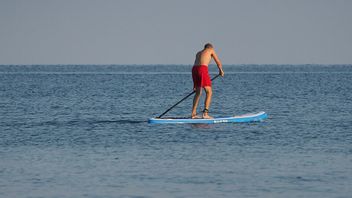 Bild på en SUP. Foto: Petar Milošević/CC BY 4.0
