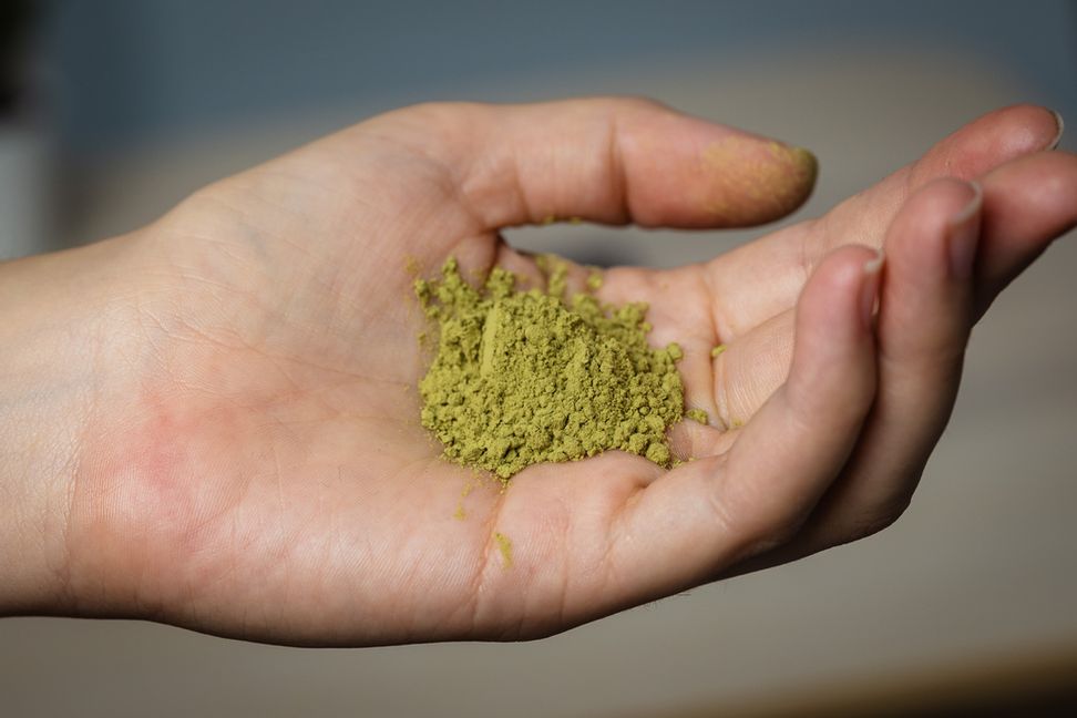 Den beroendeframkallande växtdrogen kratom narkotikaklassas av regeringen. Arkivbild. Foto: Magnus Lejhall/TT