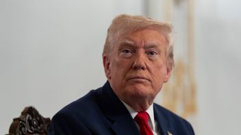 Donald Trump. Foto: Alex Brandon/AP/TT