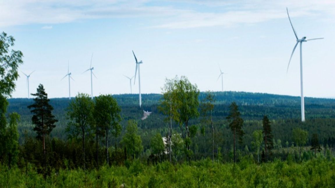 Kommuner med vindkraft väntar fortfarande på de 340 miljoner kronor som regeringen lovade för 2025. Foto: Lars Pehrson / SvD / TT.