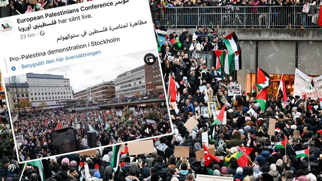 Under söndagen deltog European Palestinian Conference på den propalestinska demonstrationen på Sergels torg i centrala Stockholm. Foto: Faksimil Facebook/ Pontus Lundahl/TT
