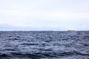 Kvarlevorna efter en okänd man hittades i Frøya kommun på norska kusten tidigare i år. Arkivbild. Foto: Gorm Kallestad/AP/TT