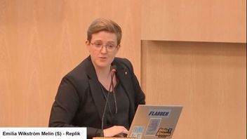 Emilia Wikström Melin (S). Foto: Skärmdump från sammanträde i Stockholms regionfullmäktige.