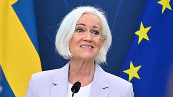 Sjukvårdsminister Acko Ankarberg Johansson (KD). Foto: Claudio Bresciani/TT