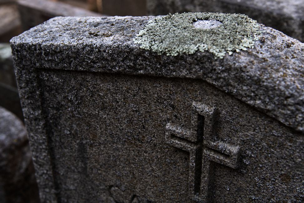 En anhörig lades i fel familjegrav. Arkivbild. Henrik Montgomery/TT