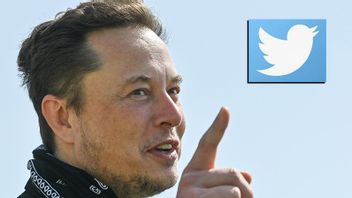 Elon Musk har köpt aktier i Twitter. Foto: Patrick Pleul/AP/TT Semmy1960 (CC BY-SA 4.0) 